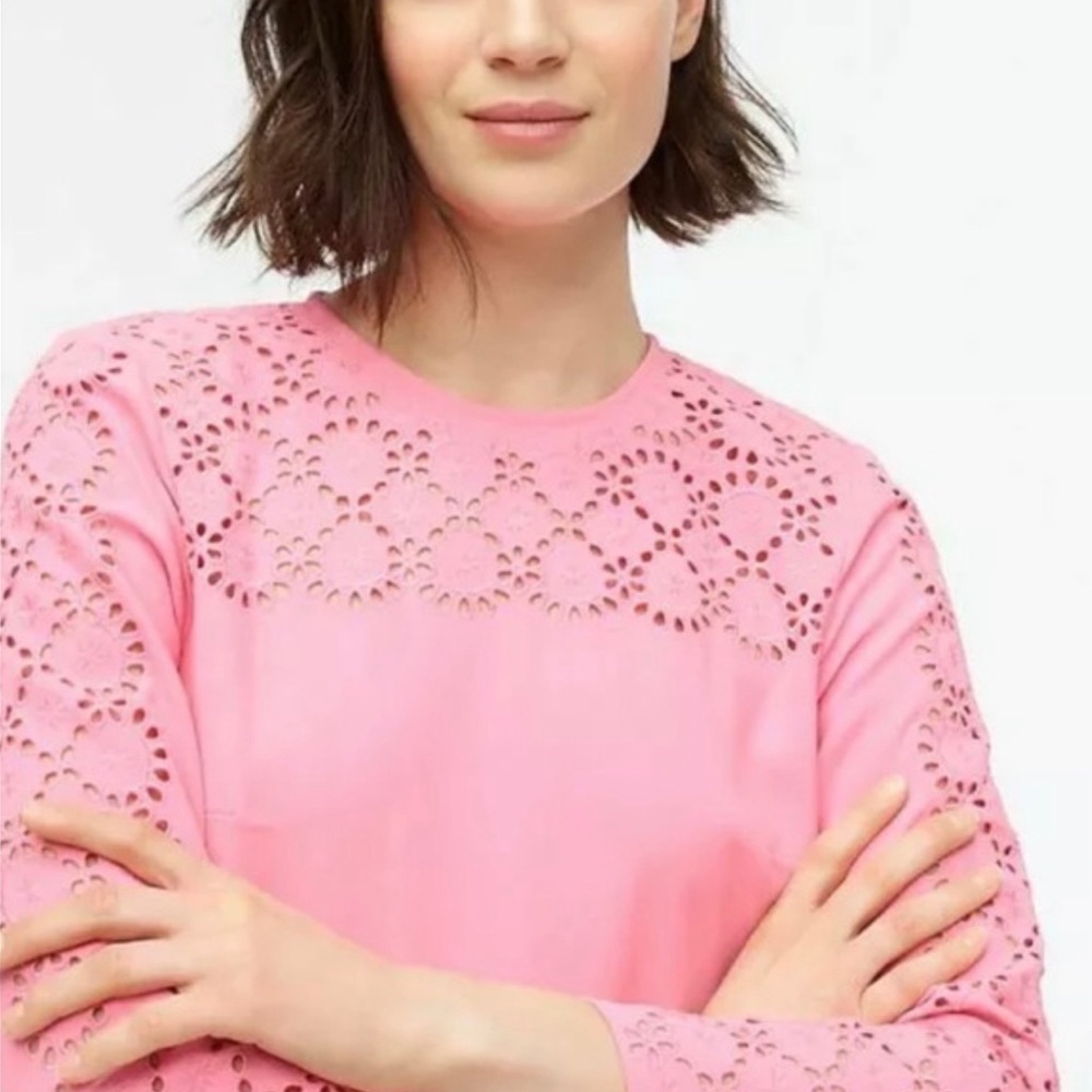 J . Crew Pink Long Sleeve Dress with Lace Detail - Picture 3 of 15